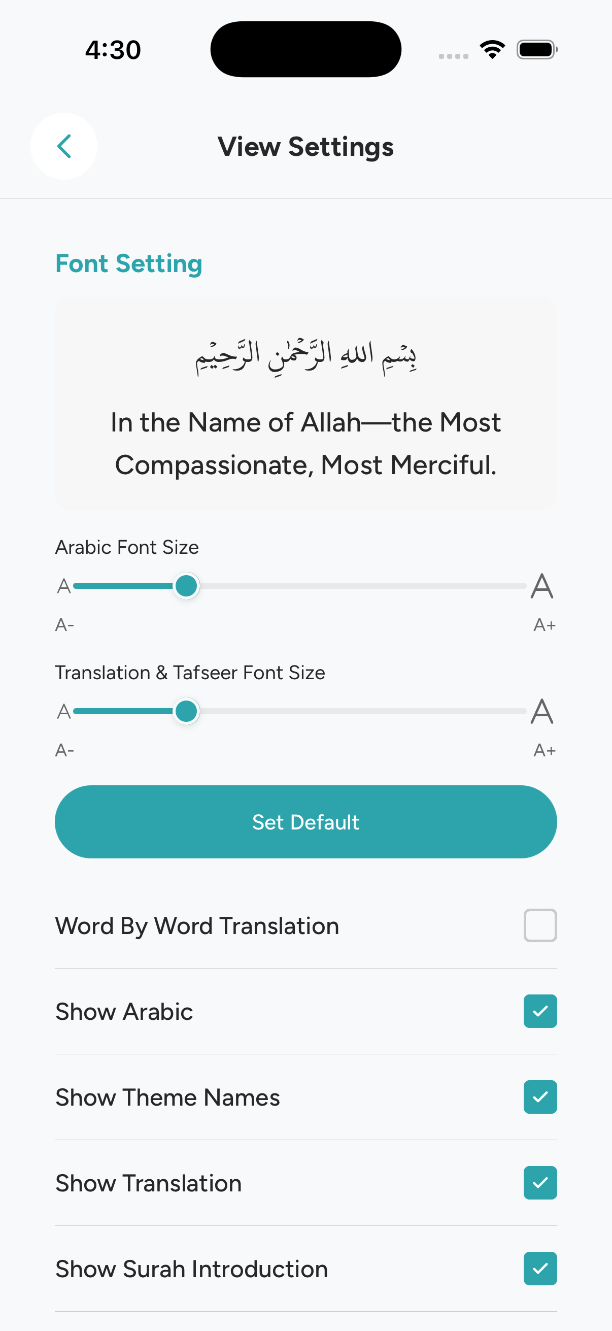 EasyQuran AI - Typography Font Controls